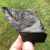 Stromatocystites pentagularis